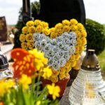 1120612034 wp69bbbecbe35815.93664847